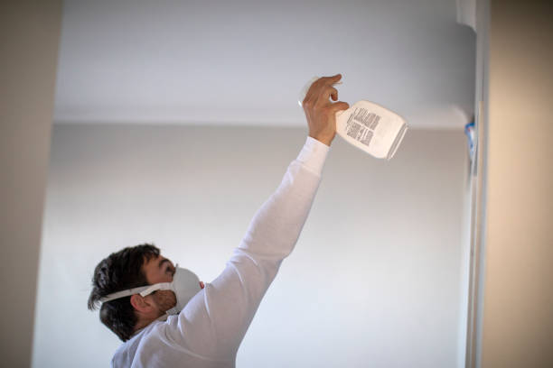Best Black Mold Removal  in Hastings On Hudson, NY